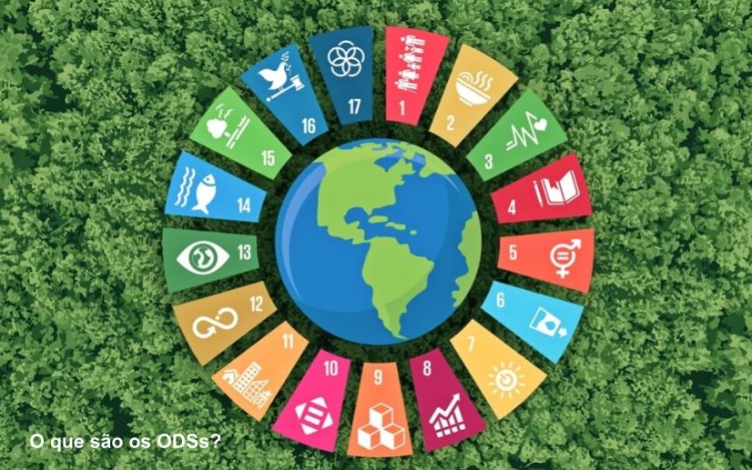 Fundo de mata verde com o ícone de cada ODS em primeiro plano formando um círculo