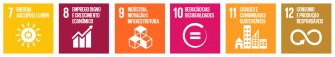 Imagem dos ODSs do 7 ao 12