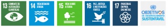Imagem dos ODSs do 13 ao 17